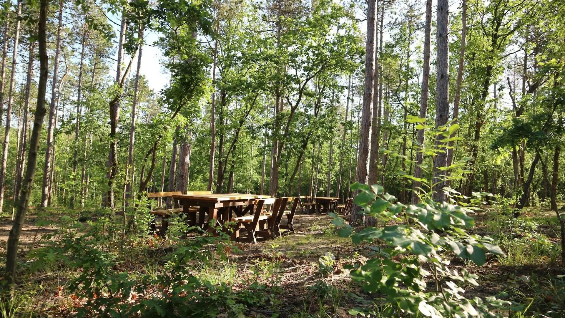 Bellevue Золотые Пески 0*,  Болгария